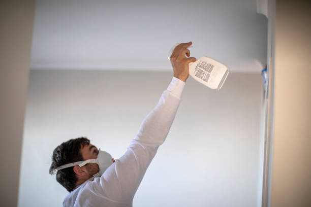 Best Commercial Mold Removal  in Willow Oak, FL