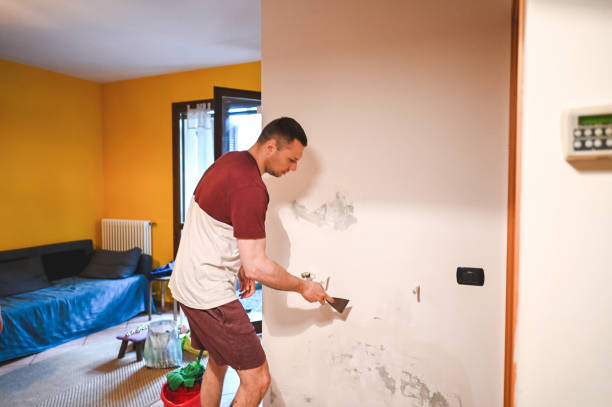 Best Mold Remediation Services  in Willow Oak, FL