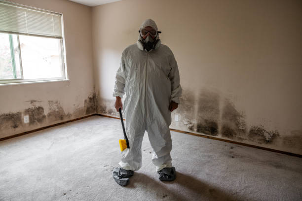 Best Residential Mold Removal  in Willow Oak, FL